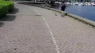 Vancouver Seawall Cycling.