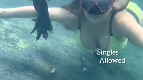 Girl Swimming under water