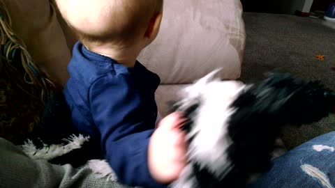 Sneaky Puppy Steals Toy From Distracted Baby