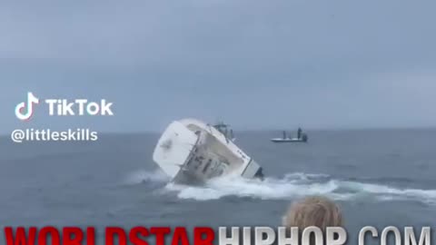 Holy Shxt Whale Sinks A Boat With People On It