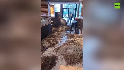 French farmers dump manure in McDonald’s