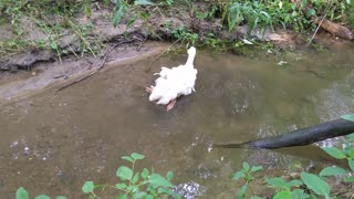 Bill soaking his foot