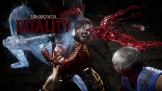 Mortal Kombat 11 Sub Zero Fatality