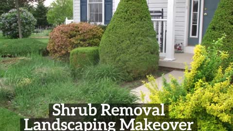 Landscaping Hancock Maryland Shrub Removal