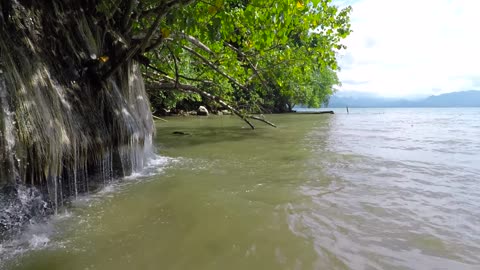 Mayalibit Bay - Raja Ampat - West Papua 2021