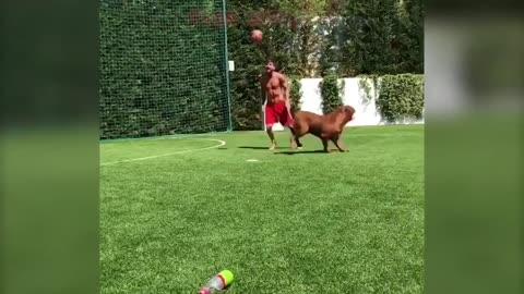Leo messi playing football with his dog ⚽️ 🐕