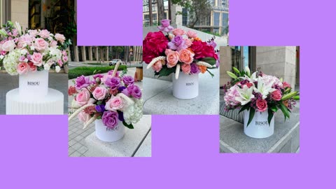 Beautiful Fresh Flower Blooms | Summer Flowers Collection