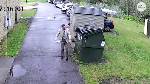 Bear inside elementary school trash dumpster startles principal | USA TODAY