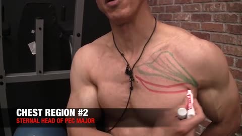 [Chest Workouts]middle-chest-muscle