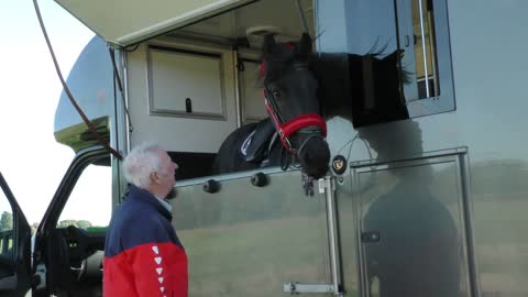 Friesian Horse Apollo goes on a Pleasure Ride
