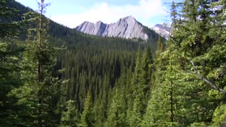 Canadian Rockies Horse Riding in Banff