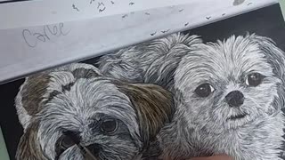 Carlee & Bailee - Dog Portrait WIP, Adding Watercolor