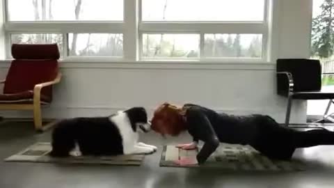 Yoga dog training with the owner