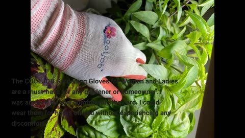 Customer Comments: COOLJOB Gardening Gloves for Women and Ladies, 6 Pairs Breathable Rubber Coa...