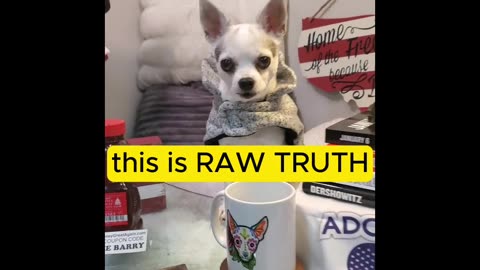 Raw Truth Dog Podcast - Free Her J6er Dad