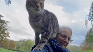 👵​😺​💖​ Cat Ovenmitt visits sheep and I rescue him from curious sheep noses