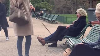 Dog Jumps on Random Person