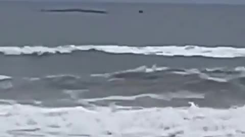 Sea monster caught on camera