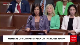 'This Is Why We Need This Bill, Malliotakis Discusses The Need To Require Citizenship
