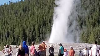 Yellowstone