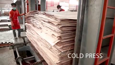 Crazy Wood Processing Machines | Biggest Wood Cutting Factory | Sawmills