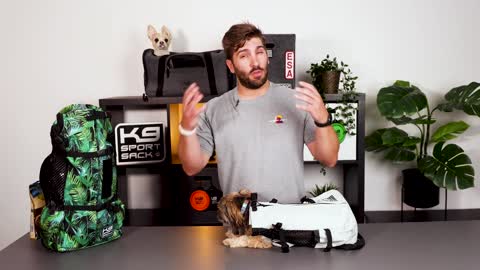 How To Get Your Dog In A Backpack Carrier