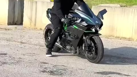 #Which Do You Prefer_! BE HONEST 😤 Squid Or Wear Gear_ Ninja H2