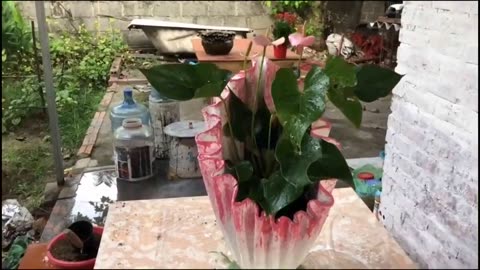 Crafting Blooms: Unleashing Creativity with PVC Pipes and Cement for Exquisite Handmade Flower Pots