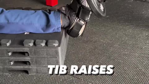 Tib Bar Guy Solo Tib Bar Preview (Knees Over Toes Guy Equipment)