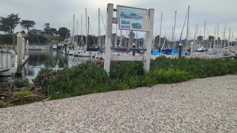 Santa Cruz Harbor