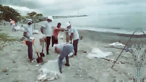 Mr beast clean beach