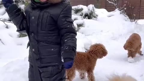 Fun Winter Day: Kids and Cute Dogs Playing in the Snow