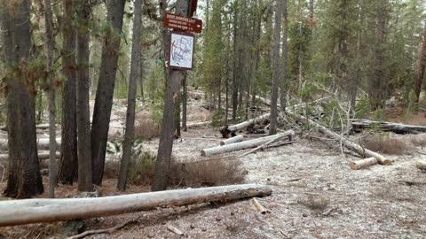 Snowshoe Junction – Central Oregon – Edison Sno-Park