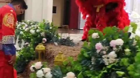 M'sia Muslim couple celebrates Chinese roots with lion dance & traditional clothing at wedding