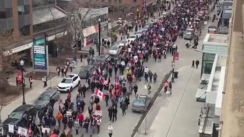 Calgary Freedom Rally supporting Truckers in Ottawa