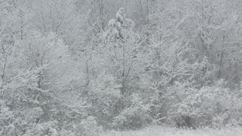 Christmas Music And Holiday Snow In The Great Smoky Mountains