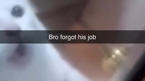 bro forgot his job