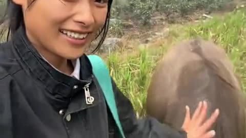 A girl in China has a pet cow. It's very nice