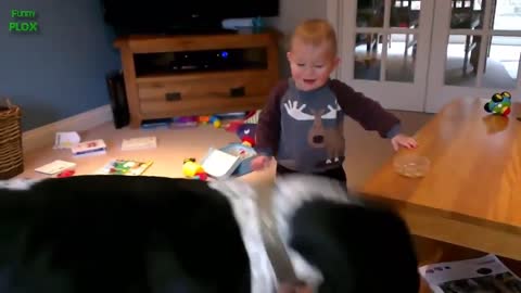 Babies Laughing Hysterically At Dogs. Compilation