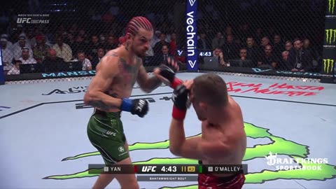 Sean O'Malley vs Petr Yan - FREE FIGHT - UFC 292