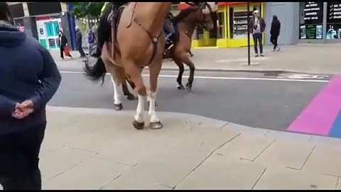 Horses sense evil