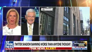 Elon Musk's efforts to uphold American values are 'remarkable'- Newt Gingrich