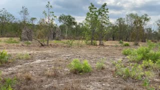 Darwin Northern Territory 1941 Sterling Silver Metal Detecting