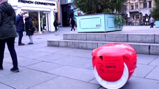 Robot companion carries shopping for the elderly