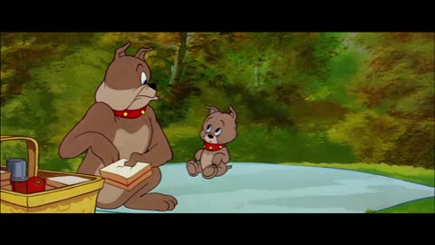 Tom and Jerry Cartoon