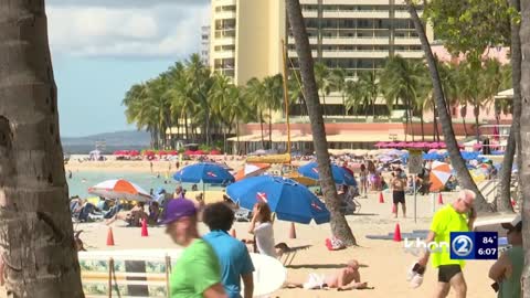Japan, Hawaii tourism could climb in coming months