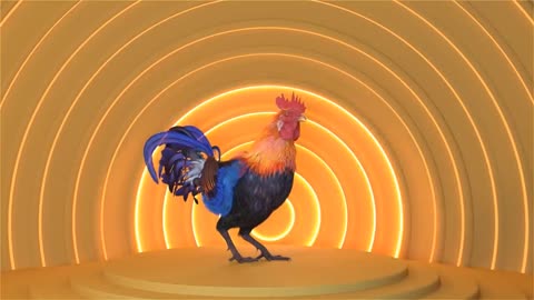 Chicken Song and Dancing Rooster - Funny Chicken Dance