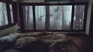 RAIN SOUNDS: Listen, Relax & Sleep Tight To The Sound Of The Rain Part13