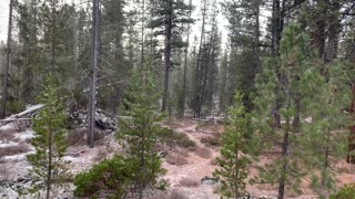 Central Oregon – Edison Sno-Park – Under Heavy Snow Fire – 4K