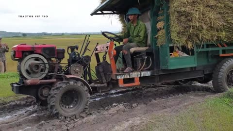 Vehicles carrying rice running on the land of muddy fields are still over and over.